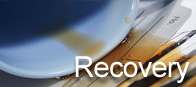 Backup & Disaster Recovery